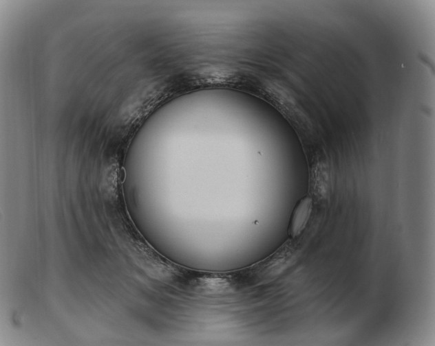 X0000103470509200809191838