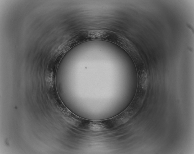 X0000103470510200809191838