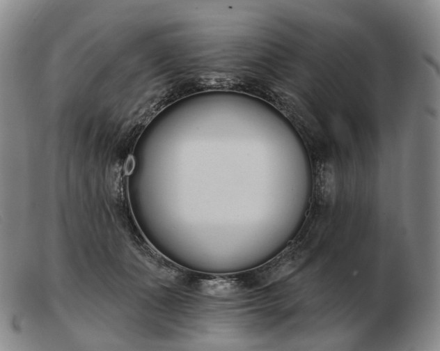 X0000103470511200809191838