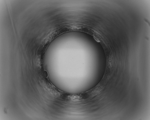 X0000103470512200809191838