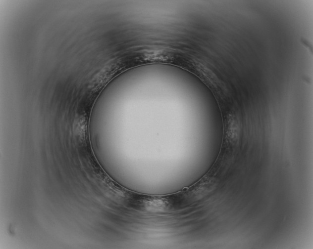 X0000103470513200809191838