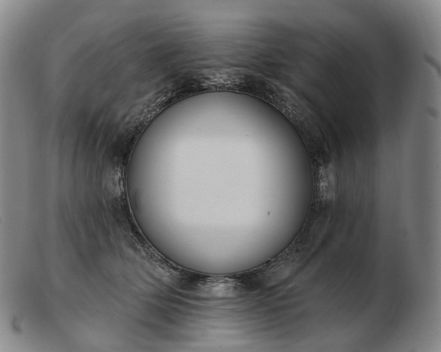 X0000103470514200809191838