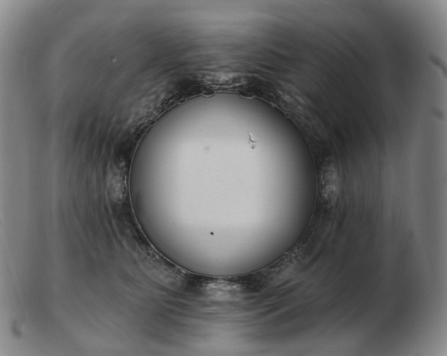 X0000103470515200809191838