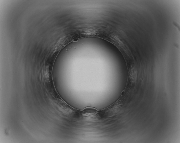 X0000103470516200809191838