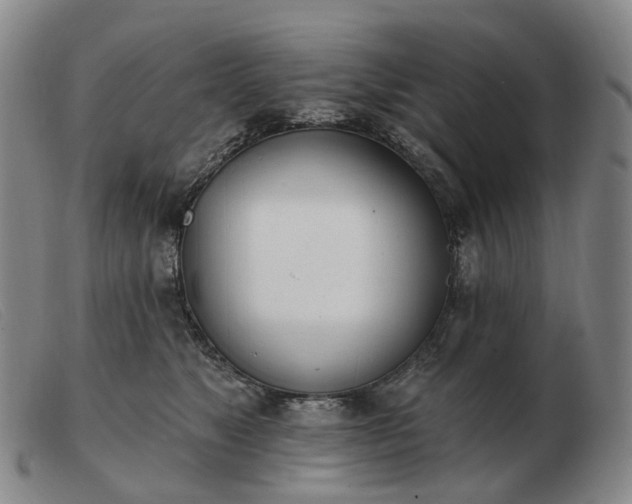 X0000103470517200809191838