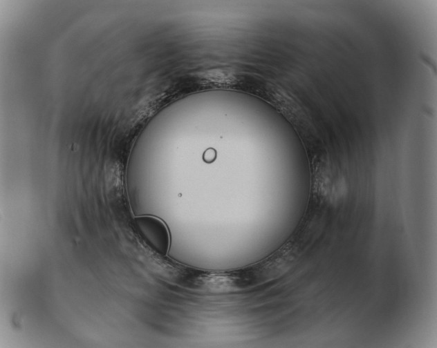 X0000103470518200809191838