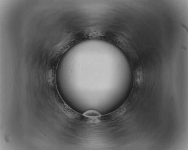 X0000103470519200809191838