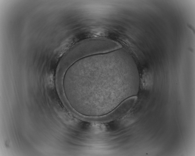 X0000103470520200809191838