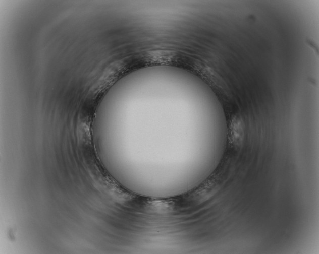 X0000103470522200809191838