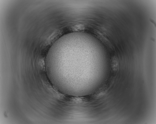 X0000103470523200809191838