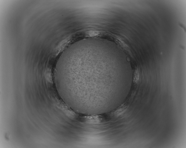 X0000103470524200809191838