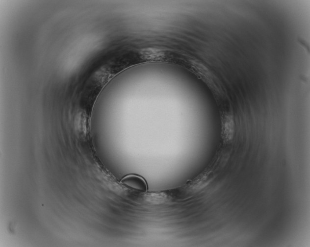 X0000103470525200809191838