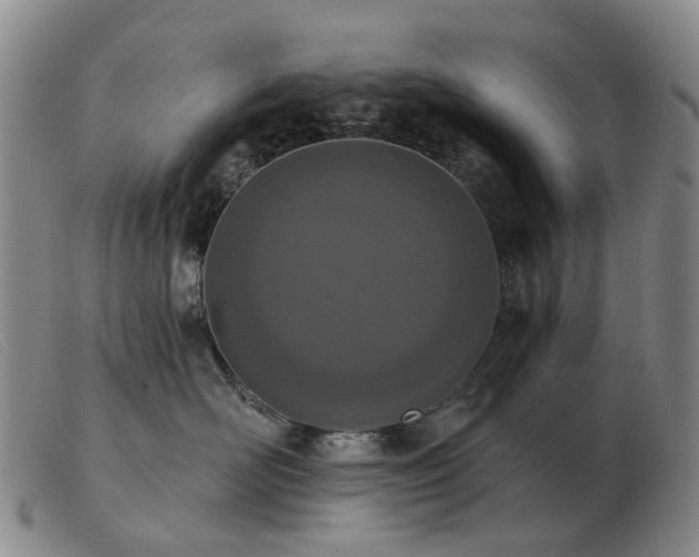 X0000103470526200809191838