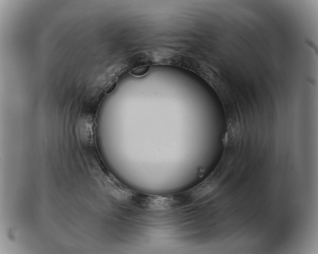 X0000103470527200809191838