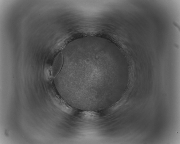 X0000103470528200809191838