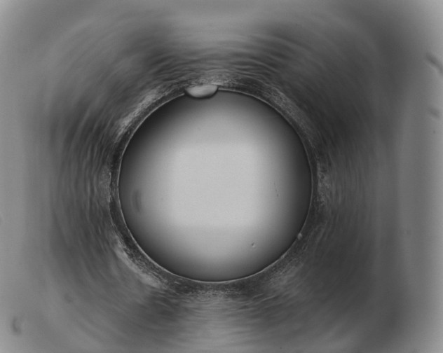 X0000103470530200809191837