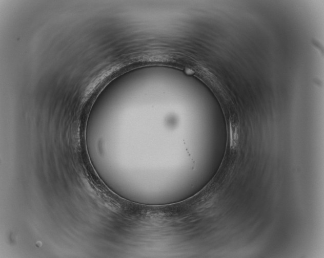 X0000103470531200809191837