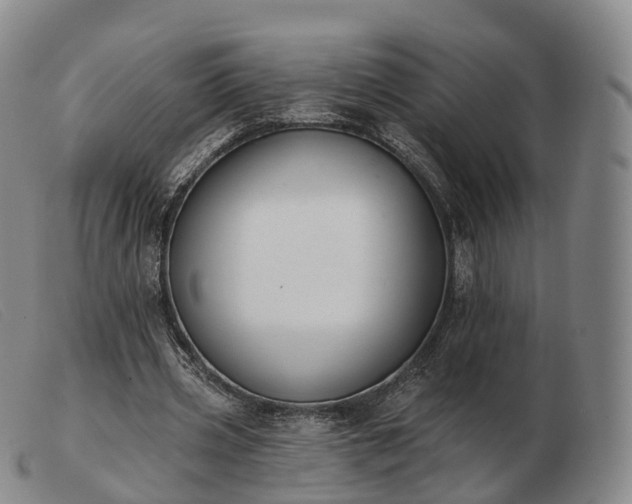 X0000103470533200809191837