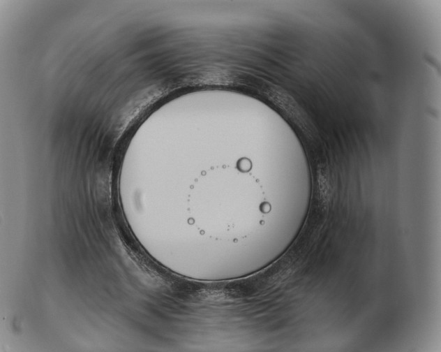 X0000103470534200809191837