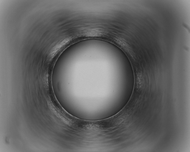 X0000103470535200809191837