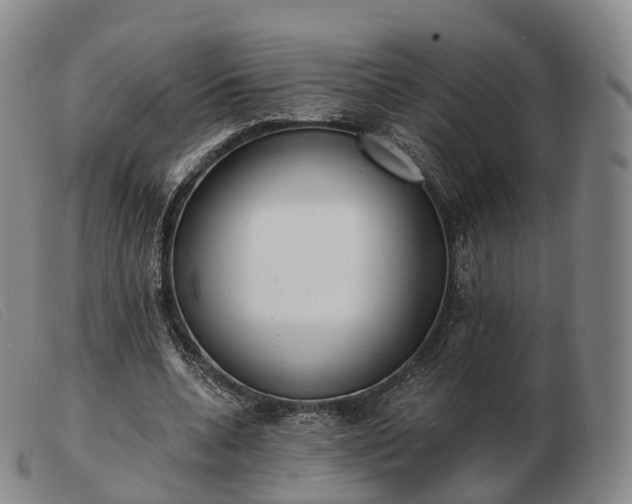 X0000103470536200809191837