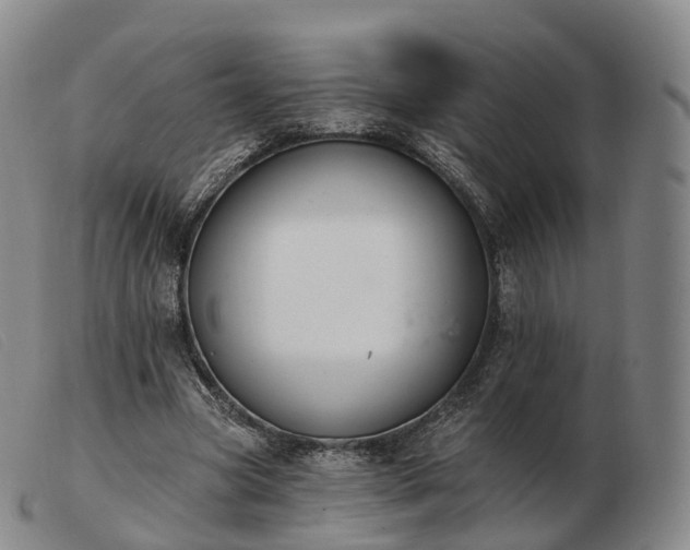 X0000103470537200809191837