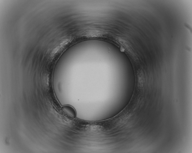 X0000103470539200809191838