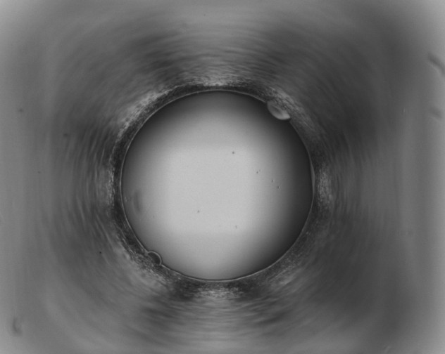 X0000103470540200809191838