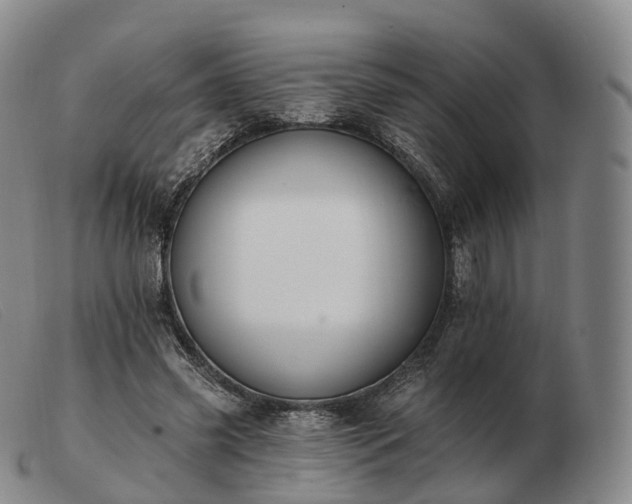 X0000103470541200809191838