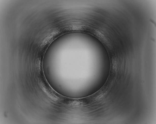 X0000103470542200809191838