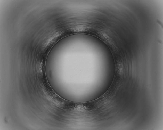 X0000103470543200809191838