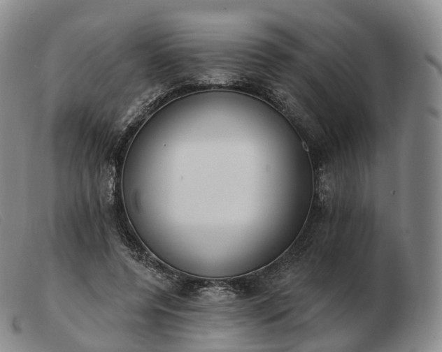 X0000103470544200809191838