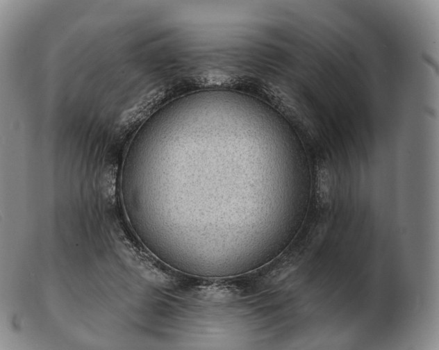 X0000103470545200809191838