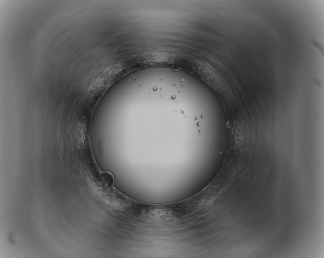 X0000103470546200809191838