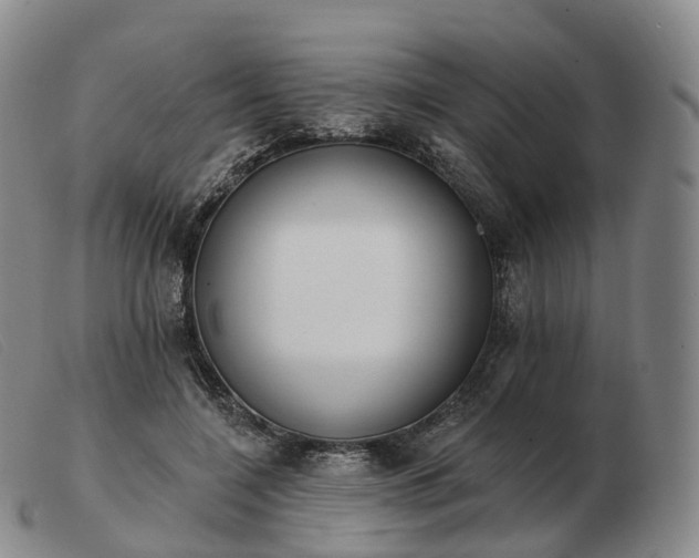 X0000103470548200809191838