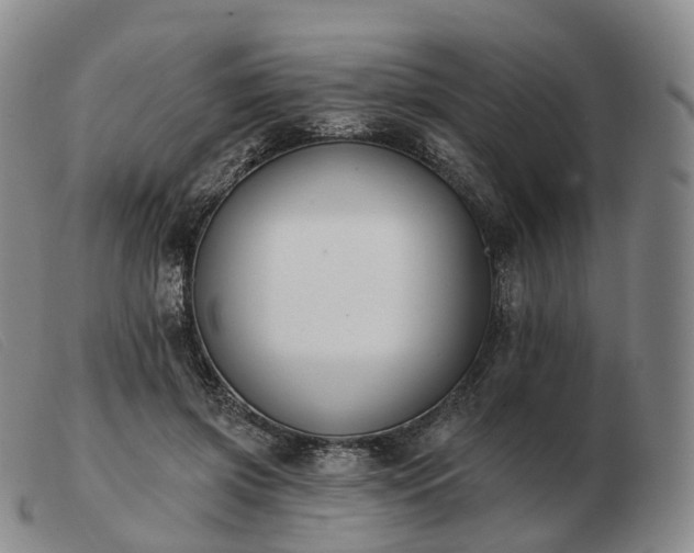 X0000103470549200809191838