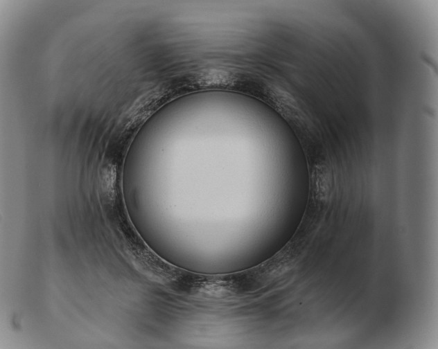 X0000103470550200809191838