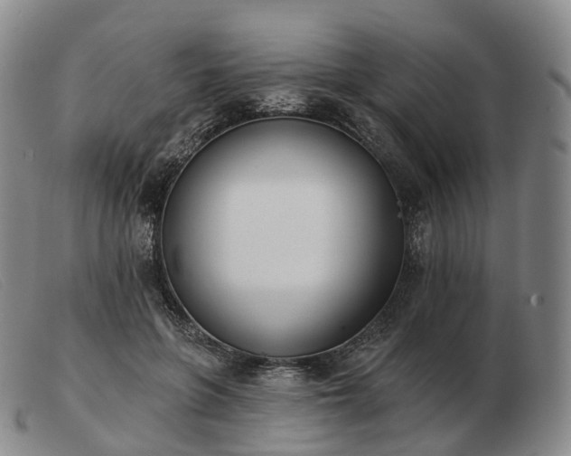 X0000103470551200809191838