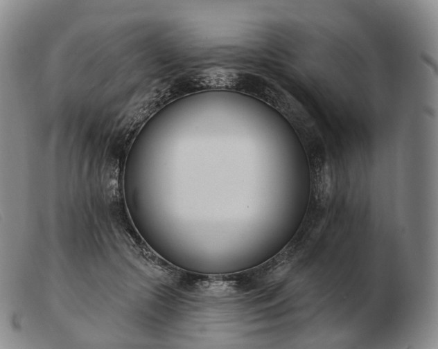 X0000103470553200809191838