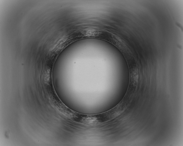 X0000103470554200809191838