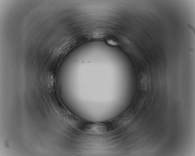 X0000103470555200809191838