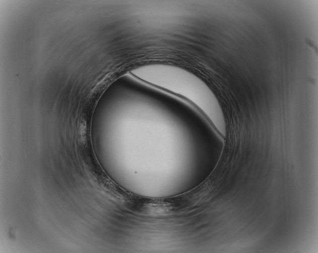 X0000103470556200809191838