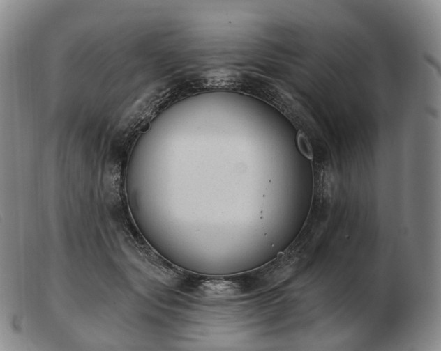 X0000103470557200809191838