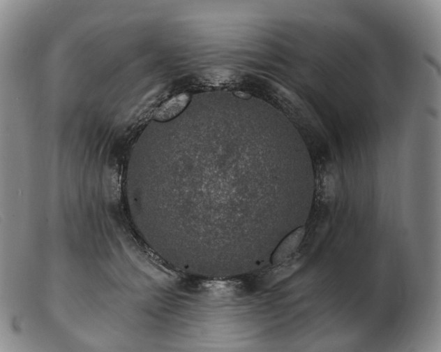 X0000103470558200809191838