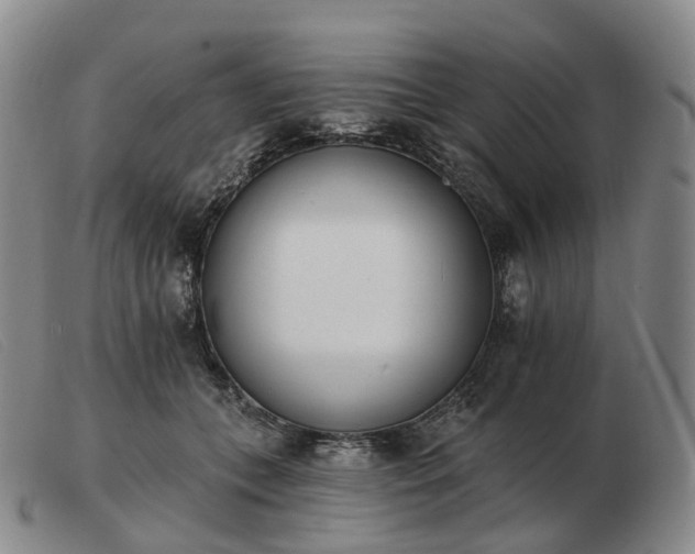 X0000103470559200809191838