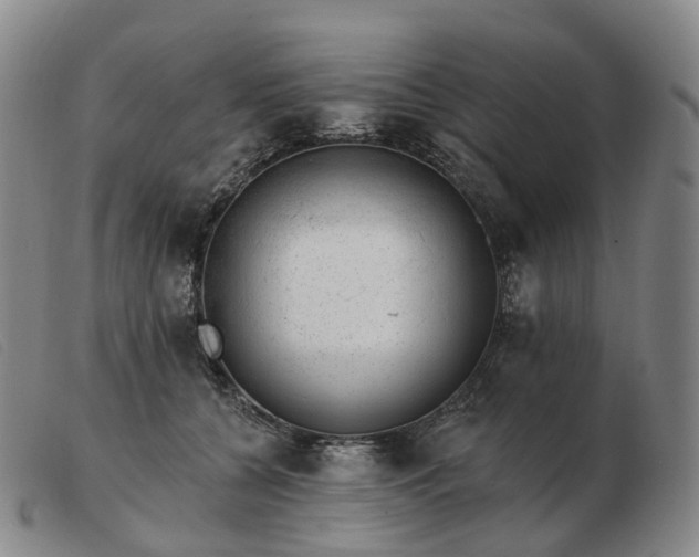 X0000103470560200809191838