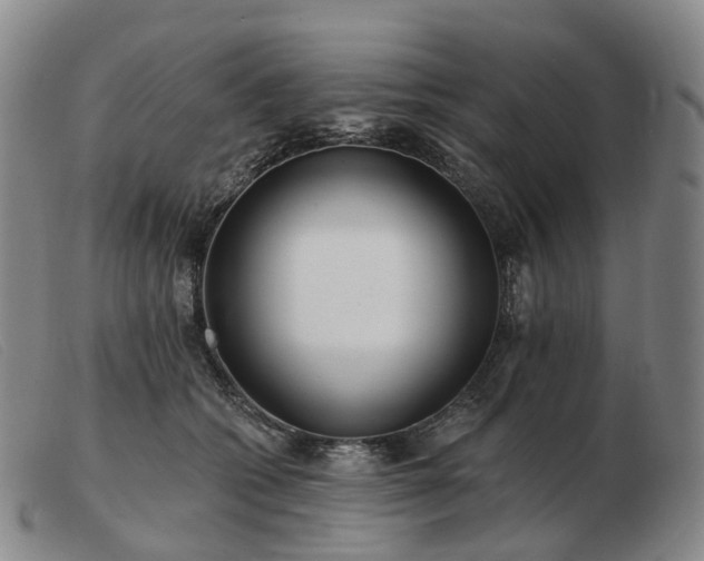 X0000103470562200809191838