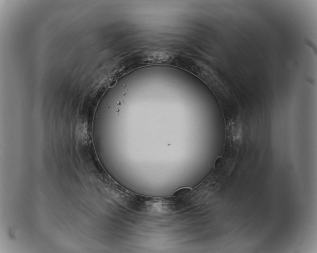 X0000103470564200809191838