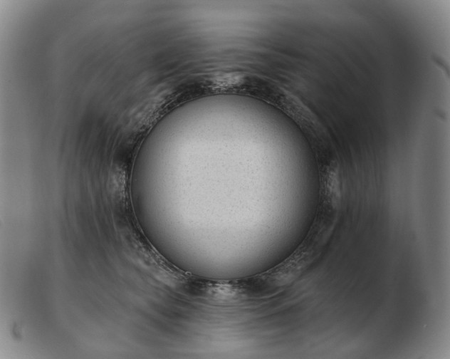 X0000103470565200809191838