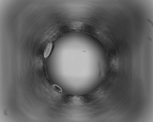 X0000103470566200809191838